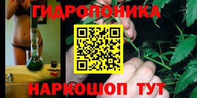 прущие грибы Кулебаки