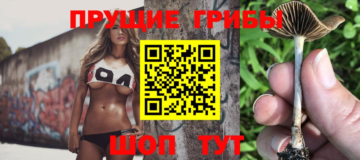 как найти   Вход с VPN  Ессентуки  Псилоцибиновые грибы мицелий 